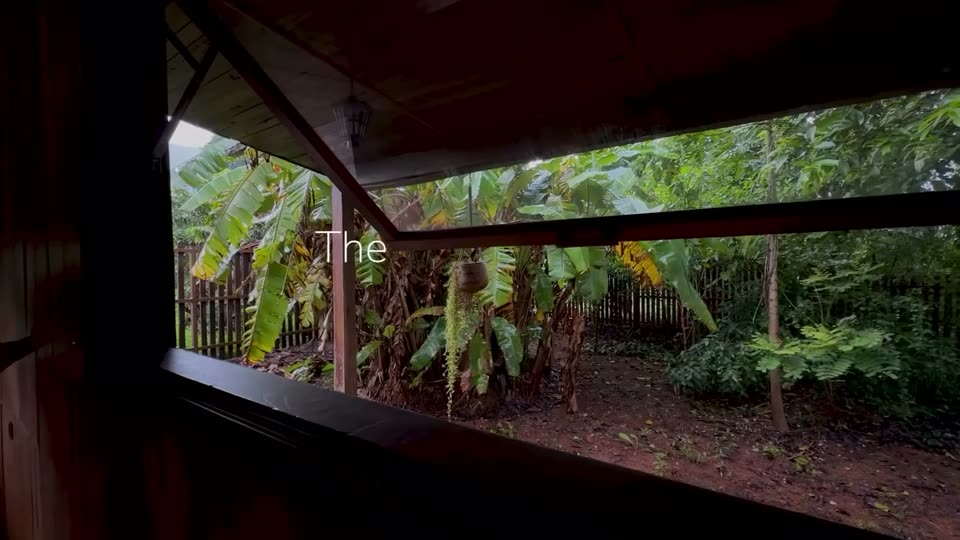 Cabin veranda looking out to rainforest
