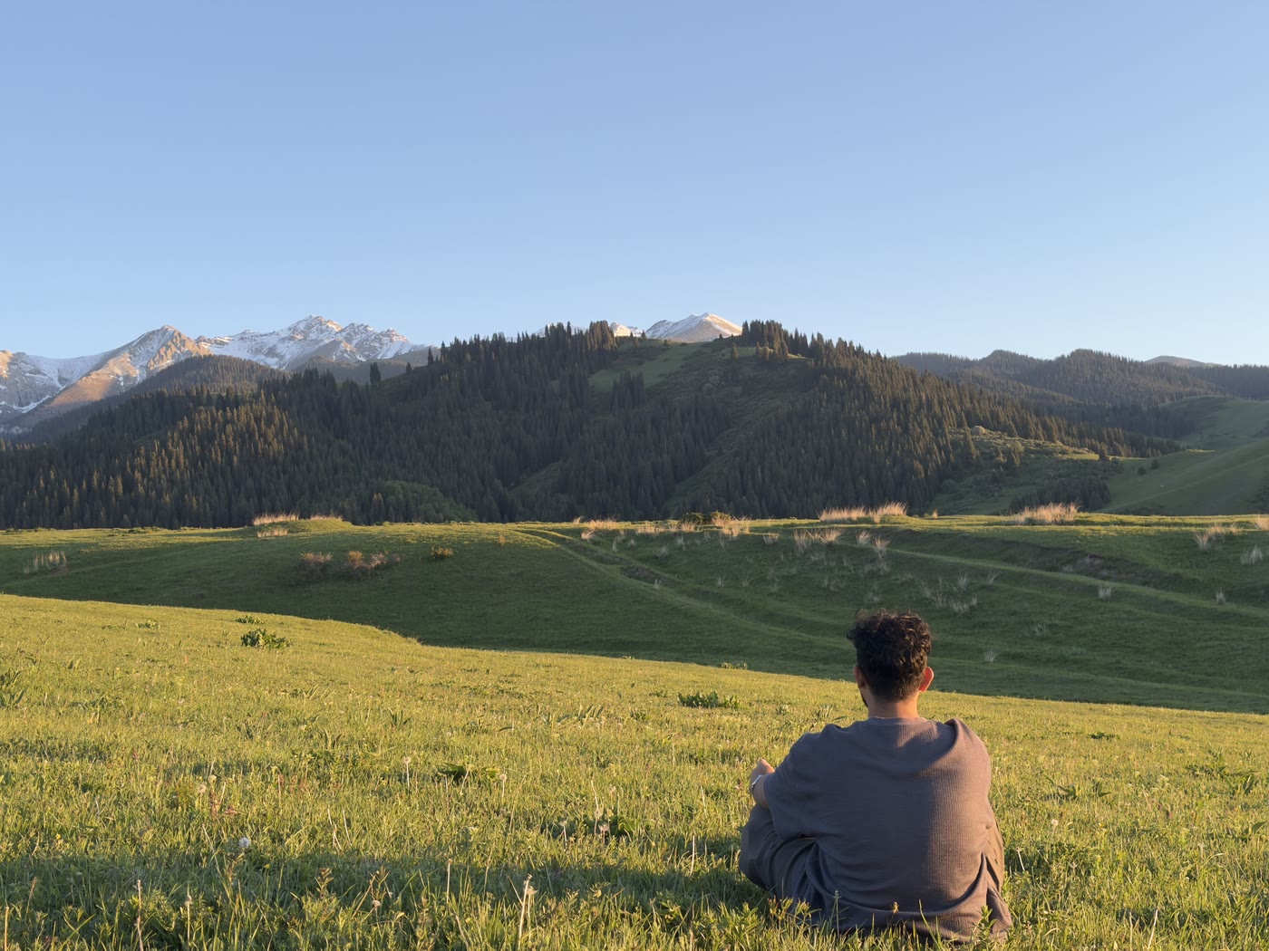 Ratnesh sitting in an alpine meadow, looking out at snowy mountains